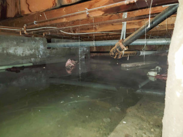 Best Ceiling water damage repair  in Fifth Street, TX