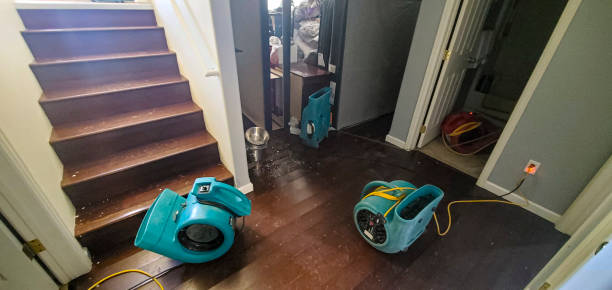 Best 24-hour water damage restoration  in Fifth Street, TX