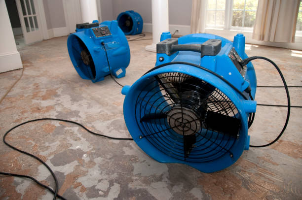 Water damage restoration experts in TX