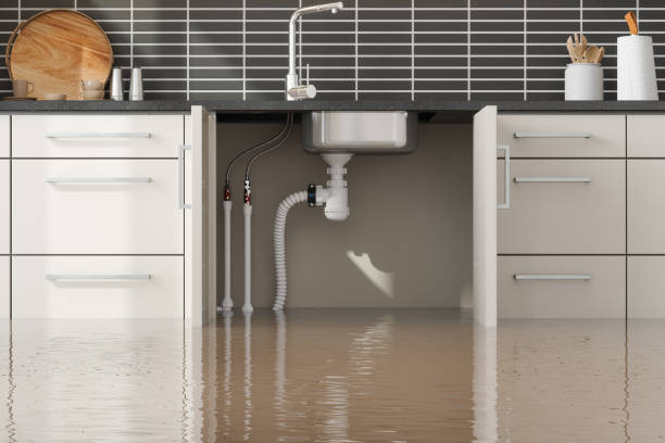 Best Flood damage cleanup  in Fifth Street, TX