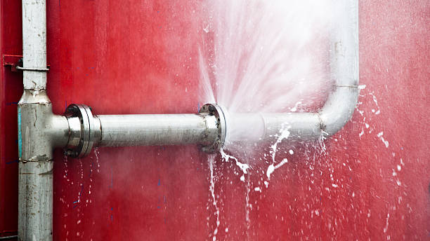 Best Professional water damage repair  in Fifth Street, TX